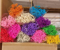 Gedroogde Gypsophila Bloemen Hot Sale Gedroogde Bloemendecoratie Gypsophila Ge conserveerde Gedroogde Babysbreath Bloem Gypsophila voor Bruiloften
