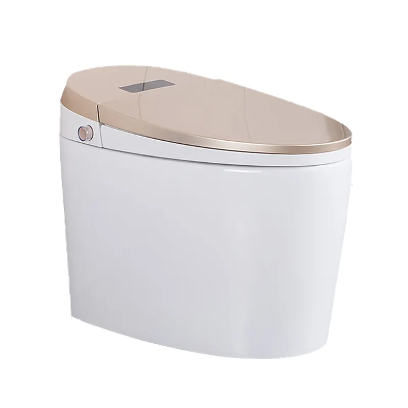 One Piece Electric Heated Seat Smart Toilet Bathroom Automatic Intelligent Wc Ceramic Floor Mounted Modern Automatic Operation