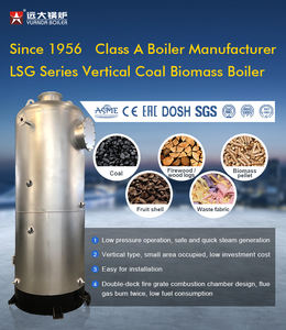 200kg/hr 300kg/hr קטן פחם ביומסה עץ גלולה קיטור הדוד - Product Image 2