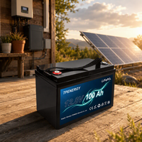 Batterie LiFePO4 12V 100Ah 12,8V 1280Wh à décharge profonde pour stockage d'énergie domestique, remplacement de batterie solaire au plomb-acide