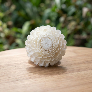 Wholesale 15 cm Handmade Artificial Sola Wood Flowers Eco-Friendly <b>Reed</b> <b>Diffuser</b> Home Decor Valentine's Day Easter Father's Day - Product Image 2