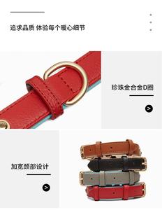 <span class=keywords><strong>Collar</strong></span> impermeable para mascotas a precio de fábrica, hebilla de aleación dorada, diseño de lujo para perros pequeños y grandes - Product Image 5