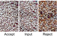 Trieur de couleurs de haricots haute précision pour haricots rouges, haricots blancs, haricots miel, haricots mungo
