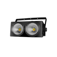 Vente en gros 2X100W 2In1 LED Matrix Stage Lights Warm White/Cold White Club PAR Light avec Uplight & DJ PAR Caractéristiques