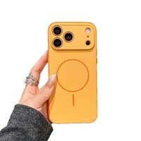 Coque de téléphone magnétique fine, toucher doux, couleur contrastée 2-en-1, compatible avec iPhone 17 Pro Max 16 15