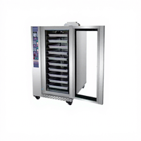 Four à convection à gaz de taille compacte pour petite cuisine, flux thermique de 10 kW/h, parfait pour boulangerie, café, pizzeria, facile à utiliser et à nettoyer