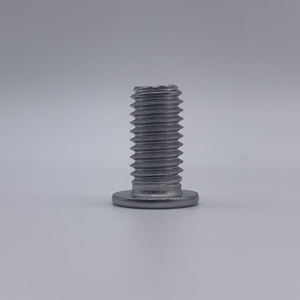Customized Stainless Steel Metric <b>Flat</b> Countersunk Head Hex Socket Plum Torx Fully Thread Bolt - Product Image 3