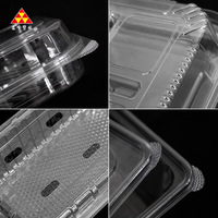 Barquette à myrtilles en PET transparente jetable, très vendue, pour l'emballage des fruits
