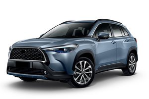 ชุดแต่งโครเมียมภายนอกรถยนต์ WZXDAUTO สำหรับรถยนต์ Cross ปี 2020 2021 - Product Image 2