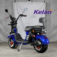 Exportation au Brésil : Scooter Électrique Adulte 1500W, Cadre en Acier Durable, Prix Bas, Pneus Larges, Moto Électrique 20AE