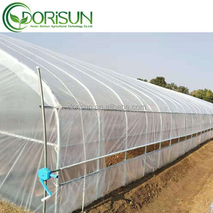 Grande arche de serre à portée unique facile à installer pour les plantes en matériau PE - Product Image 6