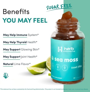 Gomitas de musgo marino irlandés de etiqueta privada, minerales de desintoxicación de impulso de energía de apoyo inmunológico con raíz de bardana Bladderwrack - Product Image 5