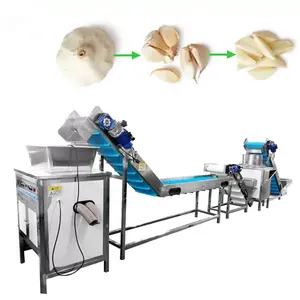 Factory Price Garlic Peeling Production Line Garlic Peeler Manufacturer