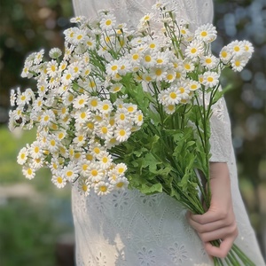 Fleurs artificielles de camomille et de marguerite Late Elm, pétales en coton blanc, décoration de table, arrangements floraux, accessoires photo - Product Image 1