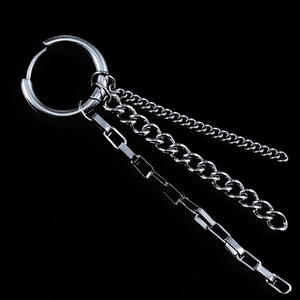 TikTok <b>Earrings</b> Pendant <b>Earrings</b> Titanium Steel Tassel Unisex Fashion Jewelry - Product Image 5