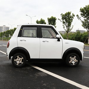 Mini Auto Elettrica Monoposto di Alta Qualità Yudian <span class=keywords><strong>Group</strong></span> 2026, Veicolo a Nuova Energia 72V 100AH per Adulti - Product Image 6