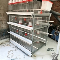 Nouveau Système de Cage d'Élevage de Poulets Entièrement Automatique de Type H en Gros, Contrôle Précis de la Température, Acier Galvanisé Durable pour Poussins
