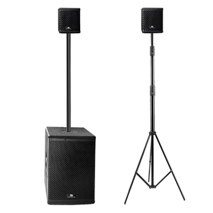 Système de haut-parleurs portables en bois pour l'extérieur, de qualité professionnelle |   Subwoofer <span class=keywords><strong>10</strong></span>'' avec 2 enceintes satellite 4'' pour événements en direct - Product Image 1