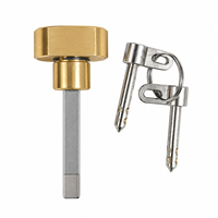 Cylindre de serrure de porte intelligente en laiton avec clé croisée et 2 clés pour serrure de porte électronique intelligente