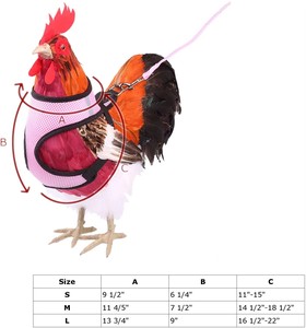 <span class=keywords><strong>Harnais</strong></span> de marche réglable pour canard, oie, <span class=keywords><strong>poule</strong></span>, avec laisse, personnalisé BSCI - Product Image 2