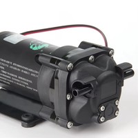 Système de brumisation automatique programmable pour terrarium, brumisateur pour reptiles, caméléons