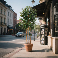 Grand olivier artificiel en pot, plante artificielle d'intérieur, bonsaï, décoration pour la maison ou le bureau, arrangements saisonniers pour l'extérieur