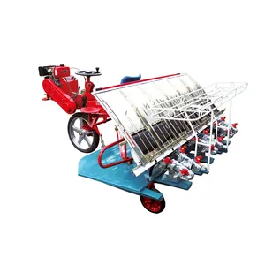 Rice transplanter 6 rows riding type paddy seeder planter