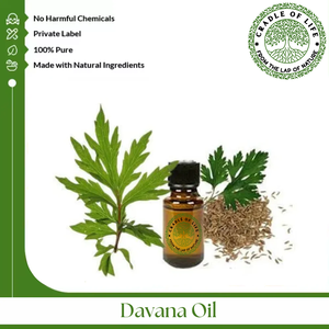 El aceite de Davana se obtiene por destilación al vapor de partes frescas de la Artemisia pallens, el aceite es un líquido fluido. - Product Image 2