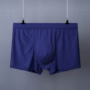 Boxers pour hommes grande taille en modal et soie glacée, transparents, respirants, fins, pour l'été, sous-vêtements pour jeunes - Product Image 5