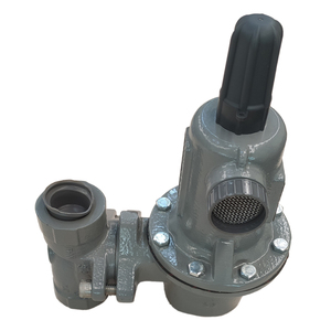 Válvulas de Control Reductoras para Evaporadores de Calderas Industriales 627-1217-27474 - Product Image 3