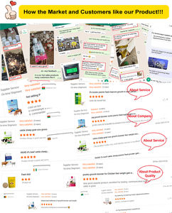 Multivitaminico vitamina A B C D E <span class=keywords><strong>K</strong></span> polvere premiscela integratore per l'aumento di peso per Booster da carne - Product Image 4