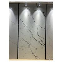 Panneaux de marbre sans soudure à haute brillance adaptés aux intérieurs contemporains respectueux de l'environnement Carreaux de porcelaine