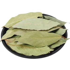 Natural New Dried Whole Laurel Leaf Ground For Spice Export Dried Laurel Leaves Xiangye Bay leaf