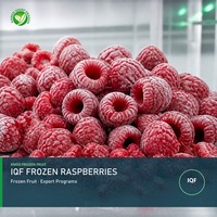 Frambuesas Congeladas IQF XMSD |   Bayas enteras de calidad 99% para bebidas y repostería