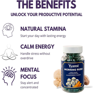 Cápsulas de Melena de León de Alta Calidad, Marca Privada, con Vitamina B12, Mejora la Concentración, la Creatividad, el Estado de Ánimo, Apoyo Energético Estable - Product Image 4