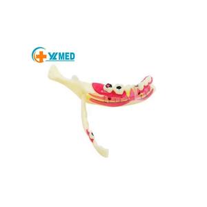 Modèle de soins <span class=keywords><strong>infirmiers</strong></span> dentaires et modèles de soins dentaires de haute qualité et au meilleur prix - Product Image 1