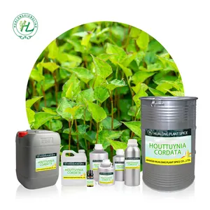 Houttuynia cordata Thunb. Estratto liquido, 1kg cinese tradizionale a base di erbe Yu xing cao olio, olio essenziale di Heartleaf per la cura della pelle