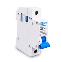 TOMZN 1P 2P DC MCB 6KA 500V Mini Circuit Breaker 3A 6A 10A 16A 20A 25A 32A 40A 50A 63A Sambungan Y