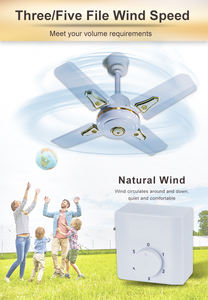 Ventilateur de plafond à <span class=keywords><strong>lame</strong></span> courte Orient de 24 pouces (600 mm) pour le Nigéria et le Ghana - Product Image 4