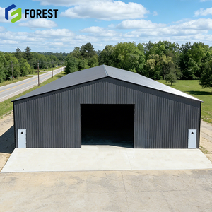 Bâtiment à structure en acier haut de gamme, architecture en fer multi-étages, sectionnel, pour hangar, ingénierie structurelle durable - Product Image 1