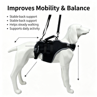 Attelle dorsale pour animaux de compagnie OEM ODM avec ressorts métalliques intégrés en néoprène pour la prévention des blessures vertébrales et de la spondylose, attelle dorsale pour chien