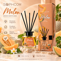 Luxueuze geurverspreiderset van 120 ml met exclusieve verpakking voor merkbezitters en importeurs