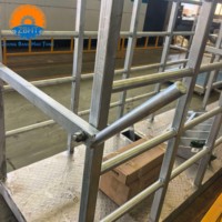 Système de pesage numérique pour bétail avec imprimante, interface de données informatique, pont-bascule robuste pour abattoir