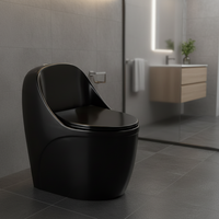 WC monobloc noir moderne de luxe en céramique à double chasse, à fermeture lente, à poser au sol, pour hôtels et hôpitaux, siphon en S
