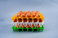 Caisse à oeufs colorée de haute qualité PP 30 plateau de transport d'oeufs plateau à oeufs de poulet en plastique pour la ferme de poulet