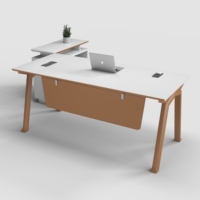 Mobilier haut de gamme de style moderne du marché Table de bureau pour ordinateur de direction Table de travail pour le bureau