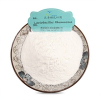 Starter de yaourt de qualité alimentaire, probiotiques Lactobacillus Rhamnosus 10 milliards UFC/g, Lactobacillus Rhamnosus pour la fermentation du yaourt