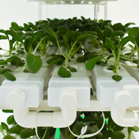Serre agricole système hydroponique support de culture vertical NFT.