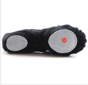 <span class=keywords><strong>Scarpe</strong></span> da ballo senza tacco da donna, in tela, con fodera in cotone, taglia grande, 5 colori, alla moda, professionali, morbide, all'ingrosso, economiche, di tendenza. - Product Image 4