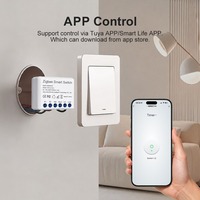 Modul Saklar Zigbee Smart Life Kontrol Suara Timer Jarak Jauh DIY Tuya Mini 12A Kualitas Terbaik